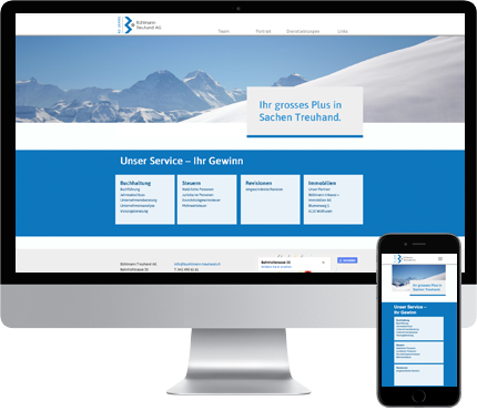 web-buehlmanntreuhand